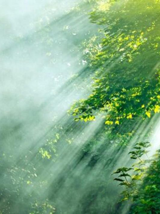 Mighty in the Mist Seminar
