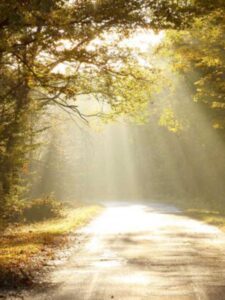 Soaring Free Seminar